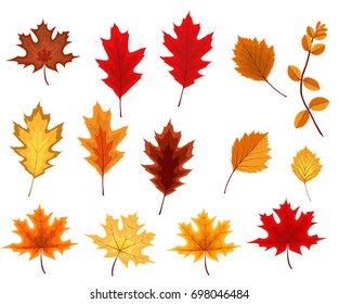 Abstract Vector Illustration with Falling Autumn Leaves. EPS10