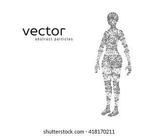 Abstract vector illustration of female body on white background.