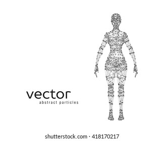 Abstract vector illustration of female body on white background.