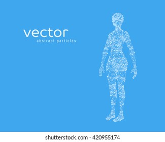 Abstract vector illustration of female body on blue background. Perspective front view.