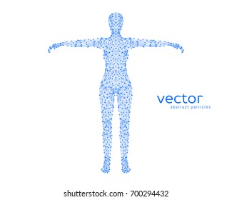 Abstract vector illustration of female body on white background.