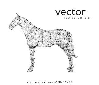 Abstract vector illustration of horse on white background