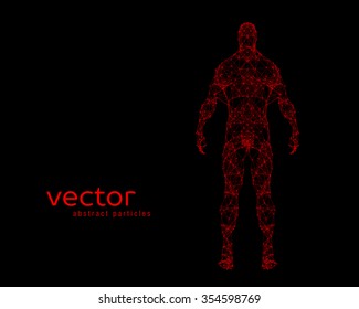 Abstract vector illustration of human body on black background