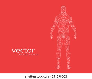 Abstract vector illustration of human body on red background