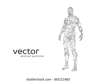 Abstract vector illustration of human body on white background