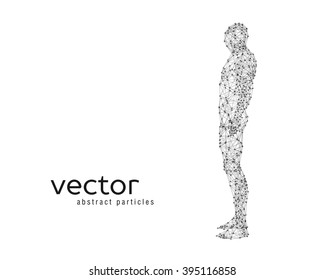 Abstract vector illustration of human body on white background. Side view.