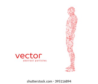 Abstract vector illustration of human body on white background. Side view.