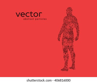 Abstract vector illustration of human body on red background. 
