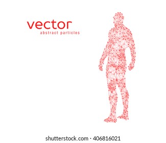 Abstract vector illustration of human body on white background. 