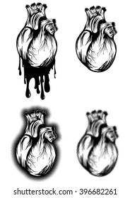 Abstract vector illustration human heart set