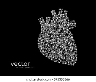 Abstract vector illustration of human heart.