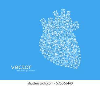 Abstract vector illustration of human heart.