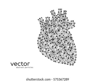 Abstract vector illustration of human heart.