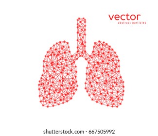 Abstract vector illustration of human lungs on white background.