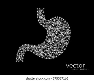 Abstract vector illustration of human stomach.