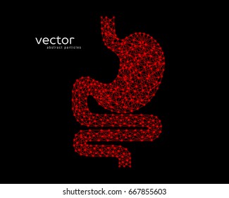 Abstract vector illustration of human stomach on black background.