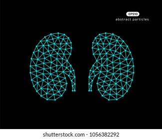 Abstract vector illustration of kidneys on black background.