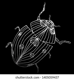 Abstract vector illustration of ladybug or ladybird isolated on black background. Ink drawing, graphic style. Outline sketch