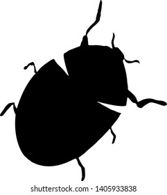Abstract vector illustration of ladybug or ladybird silhouette isolated on white background. Ink drawing, graphic style