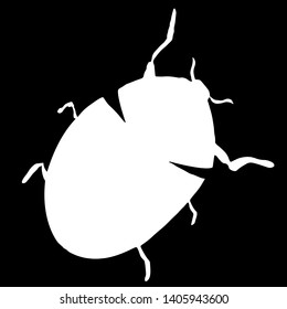 Abstract vector illustration of ladybug or ladybird silhouette isolated on black background. Ink drawing, graphic style. Outline sketch