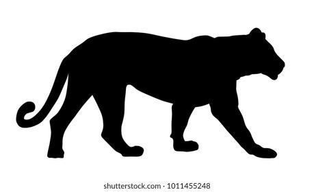 Abstract vector illustration of a lioness silhouette