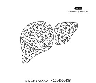 Abstract vector illustration of liver on white background.