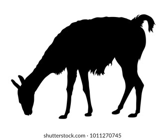 Abstract vector illustration of a llama silhouette