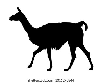 Abstract vector illustration of a llama silhouette