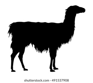 Abstract vector illustration of an llama silhouette