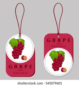 Abstract vector illustration logo for whole ripe berry grape with green stem leaf,cut sliced on background.Grape drawing consisting of tag label,peel pip,ripe sweet food,wine.Eat fresh bunch of grapes