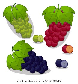 Abstract vector illustration logo for whole ripe berry grape with green stem leaf,cut sliced on background.Grape drawing consisting of tag label,peel pip,ripe sweet food,wine.Eat fresh bunch of grapes