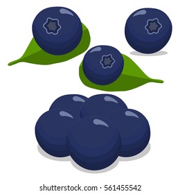 Abstract vector illustration logo whole ripe fruit blue blueberry, green stem leaf, cut sliced berries. Blueberry drawing pattern consisting of tag label,peel ripe berry.Eat fresh blueberry, bilberry.