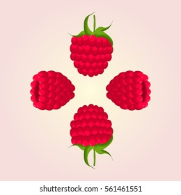 Abstract vector illustration logo for whole ripe red berry raspberry with green stem leaf, cut slice. Raspberry pattern consisting of label fruits, icon ripe sweet food. Eat fresh berries raspberries.