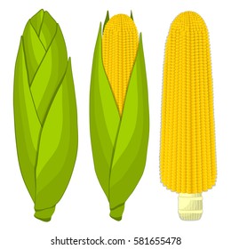 Abstract vector illustration logo whole ripe vegetable yellow corn, green stem leaf maize, cut sliced cob. Corn pattern consisting of peel grain cob, pip ripe sweet maizes. Eat fresh fruit corn cob.