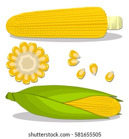 Abstract vector illustration logo whole ripe vegetable yellow corn, green stem leaf maize, cut sliced cob. Corn pattern consisting of peel grain cob, pip ripe sweet maizes. Eat fresh fruit corn cob.