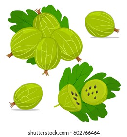 Abstract vector illustration logo for whole ripe berry gooseberry,green stem leaf, cut half background. Gooseberry pattern consisting of label,natural sweet food. Eat fresh organic fruit gooseberries.