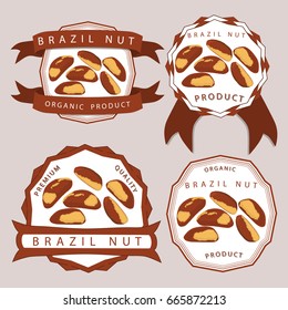 Abstract vector illustration logo whole ripe brown brazil nut, cut sliced, product hazel background. Nut Brazil pattern consisting of tag label, food peeled half nutlet, nutshell. Eating brazils nuts.
