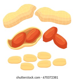 Abstract vector illustration logo whole ripe brown peanut nut, cut sliced, product hazel background. Nut Peanut pattern consisting of tag label, food peeled half nutlet, nutshell. Eating peanuts nuts.