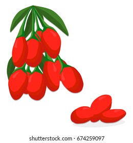 Abstract vector illustration logo for whole ripe fruit red goji, cut half sliced garnet berry, background. Goji pattern consisting of tag label natural sweet food. Eat fresh raw organic berries gojis.