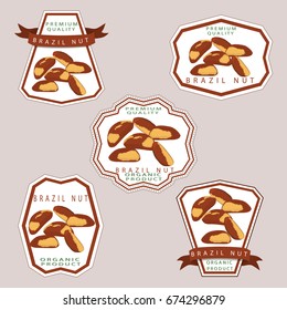 Abstract vector illustration logo whole ripe brown brazil nut, cut sliced, product hazel background. Nut Brazil pattern consisting of tag label, food peeled half nutlet, nutshell. Eating brazils nuts.