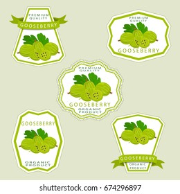 Abstract vector illustration logo for whole ripe berry gooseberry,green stem leaf, cut half background. Gooseberry pattern consisting of label,natural sweet food. Eat fresh organic fruit gooseberries.