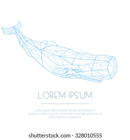 Abstract vector Illustration with low poly lines blue whale and text on the white background