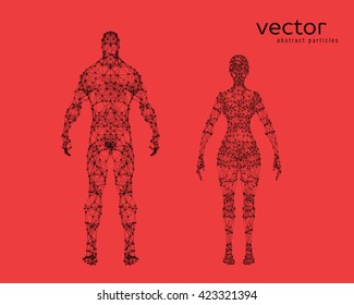 Abstract vector illustration of male and female body on red background.