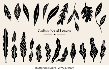 Abstrakte Vektorillustration. Satz von Blumen- und Blatt-Handzeichnungen.