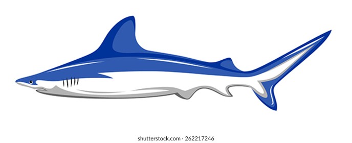 Abstract vector illustration of shark