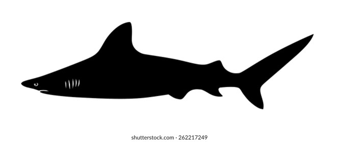 Abstract vector illustration of shark