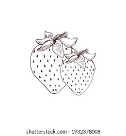 Fraise Dessin Images Stock Photos Vectors Shutterstock