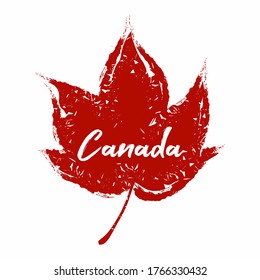 An abstract vector illustration of a single maple leaf in grunge effect for Canada Day on an isolated background