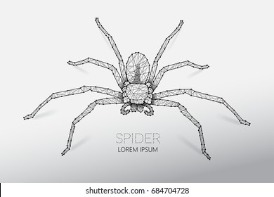 Abstract vector illustration of spider. line dot connection design. suitable use for Halloween. - line stroke weight editable