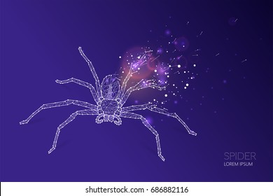Abstract vector illustration of spider. line dot connection design. suitable use with Halloween concept. - line stroke weight editable
concept of growth. - line stroke weight editable